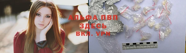 гидра Алексин