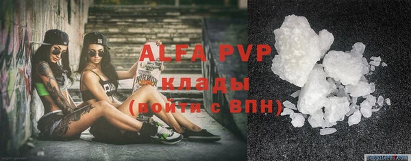 гидра Алексин