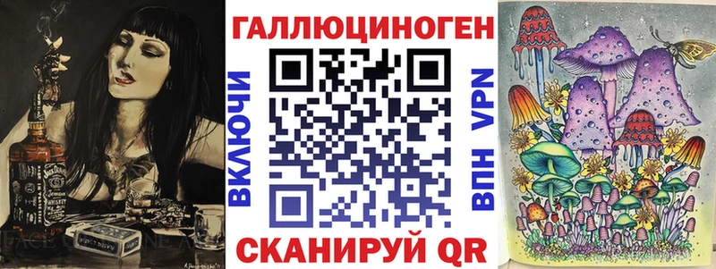 дарнет шоп  Новозыбков  Галлюциногенные грибы Psilocybine cubensis 