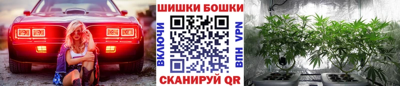 наркота  Новозыбков  Бошки марихуана LSD WEED 